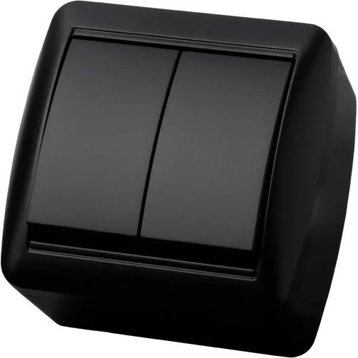 Выключатель 2-клавишный открытой установки IP44 10А графит "Селигер" TDM