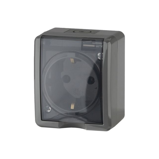 Розетка 2Р+Е IP54 16АХ-250В серый Эра Эксперт