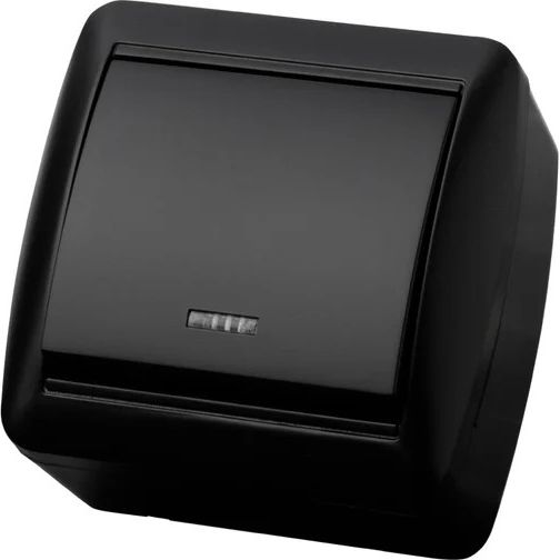 Выключатель 1-кл с подсветкой открытой установки IP44 10А графит Селигер TDM