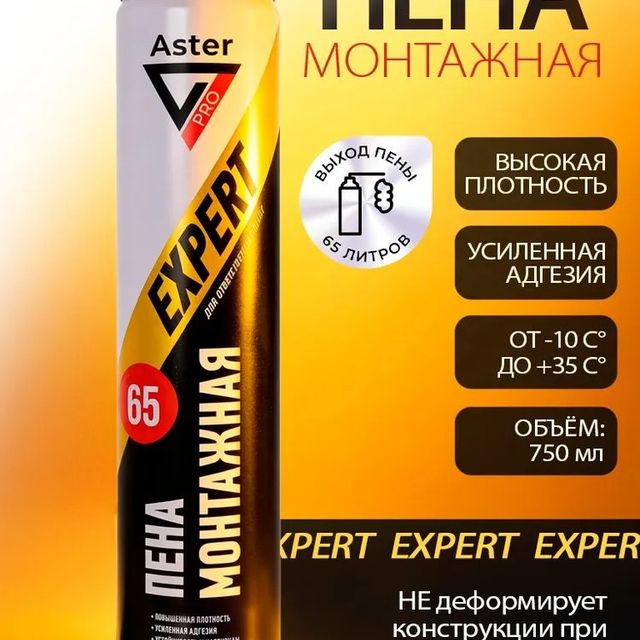Пена монтажная всесезонная ASTER Expert